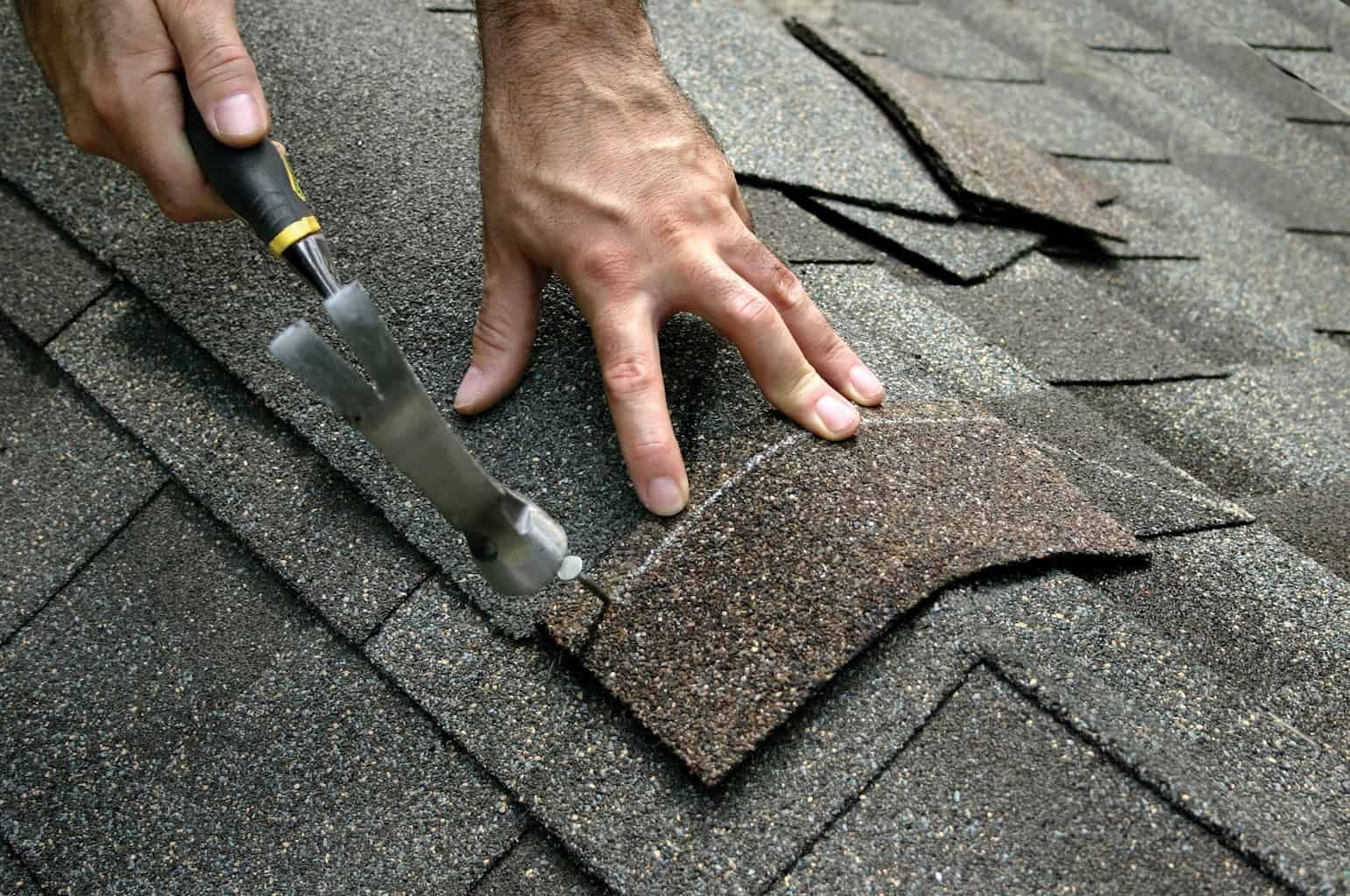 Roofing Blog - Roofing Advice - Roofing Articles - Castile Roofing ...