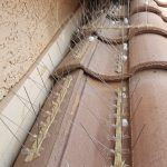 Buckskin Roof Maintenance - Castile Roofing