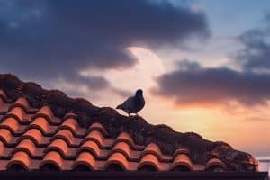 Tile Roofs vs Composition Shingle Roofs - The Pros and Cons of Both Roof Types - Castile Roofing